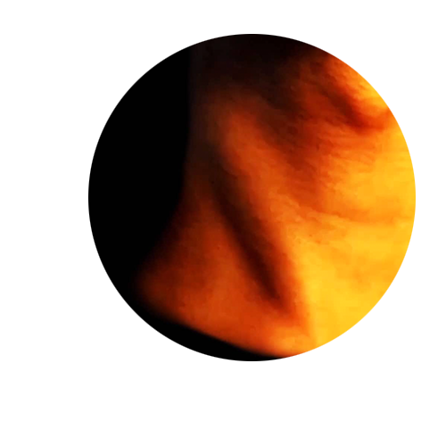 neck